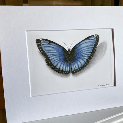 Butterfly art, Butterflies, home decor, wall prints, wall art, - image3